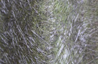 Anchorsholme fibreglass roof work